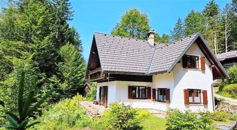 Ferienhaus Kranjska Gora