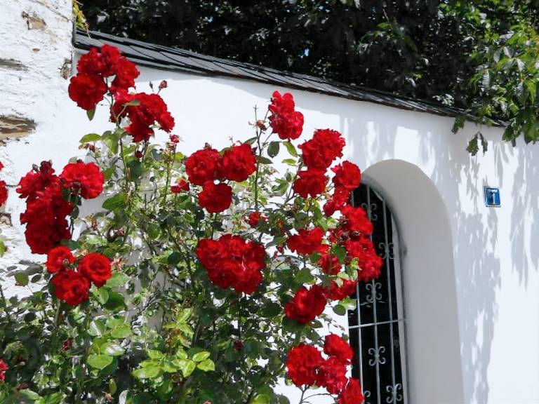 Ferienhaus Winningen