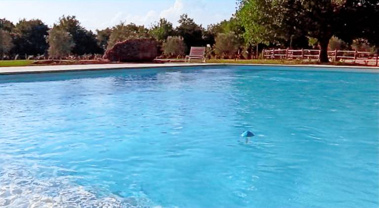 House with pool — photo 5