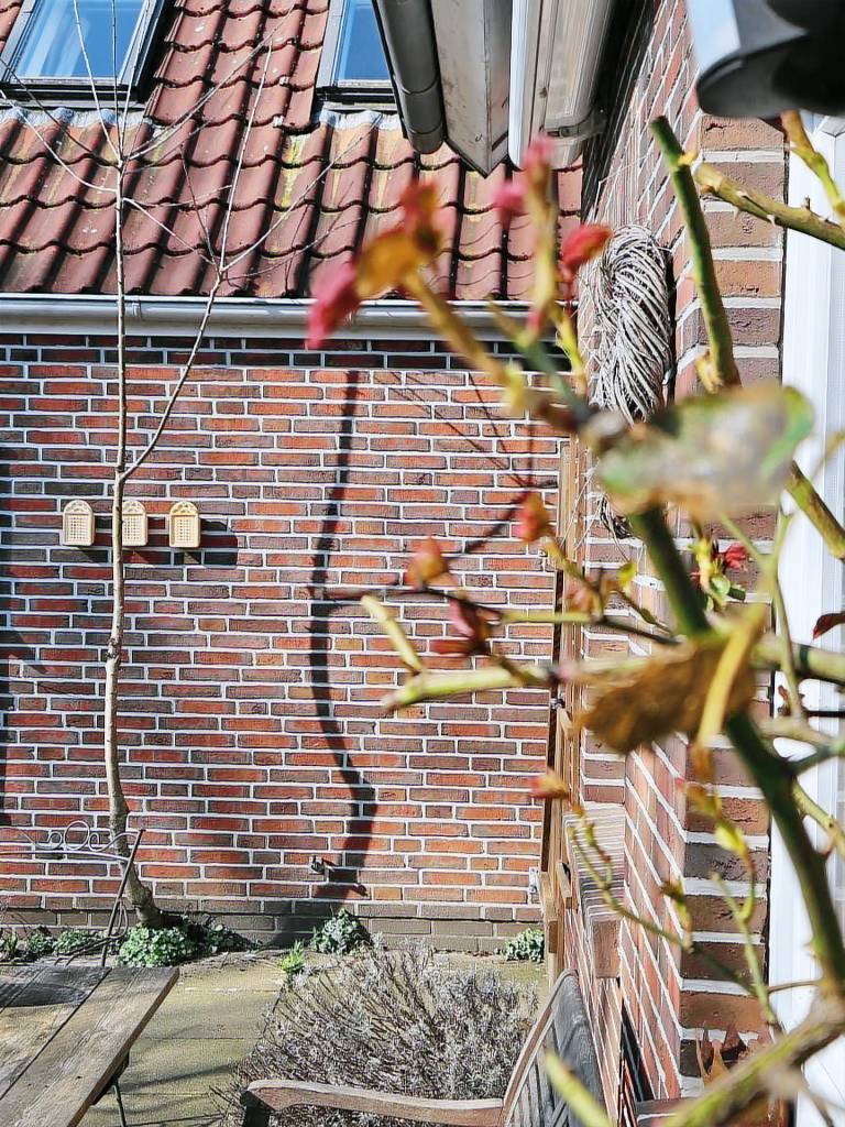 Ferienwohnung  Ganderkesee