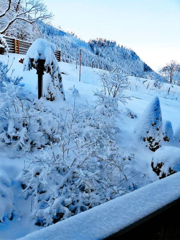 Ferienwohnung mit Hund in Berchtesgaden f&uuml;r max.  Personen