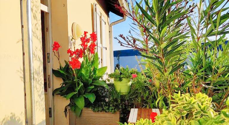 Appartement Creil