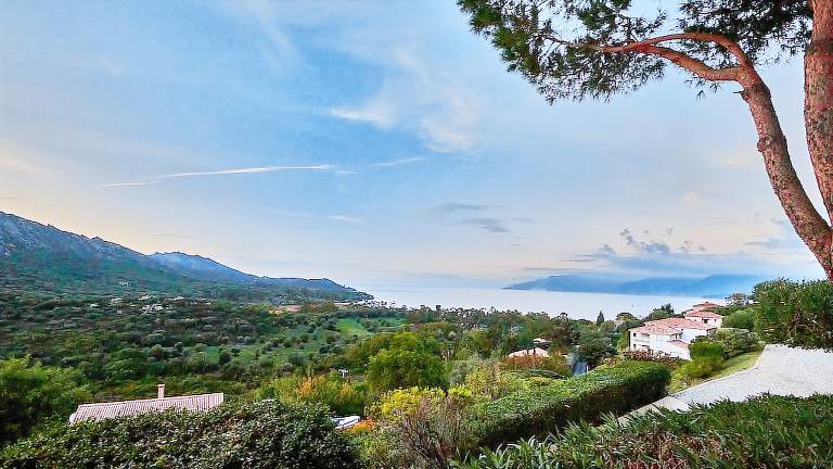 Appartement Saint-Florent