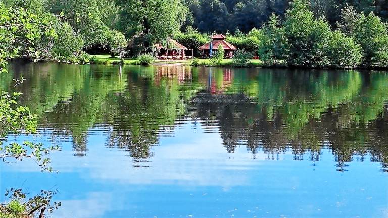 Ferienwohnung Ludwigswinkel