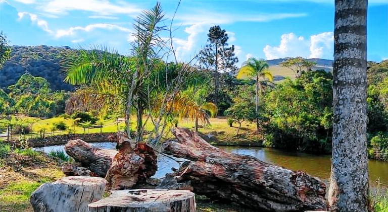 Fazenda Terra Nova — photo 4