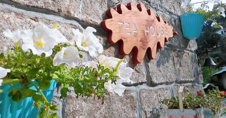 Tea House Ger&ecirc;s Hiperic&atilde;o