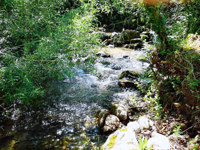 House with garden, private pool & sauna | River view | Perfect for remote work — photo 2