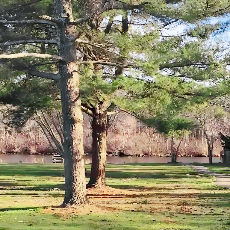 Greenview Inn Riverhead — photo 3