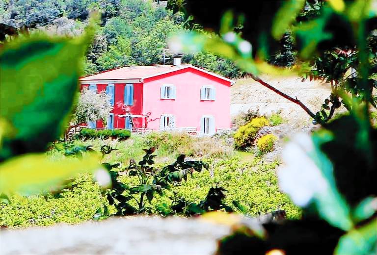 Appartamento Corbezzolo