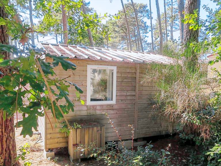 Pleasant bungalow | Close to the beach | Pet-friendly — photo 4