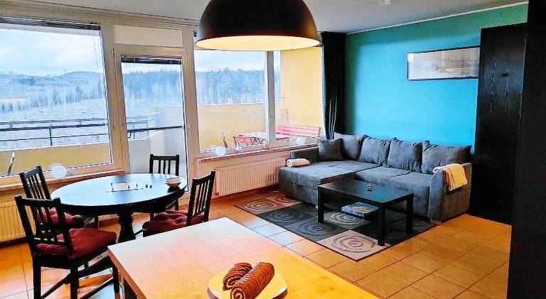 Rental apartment with pool in Braunlage