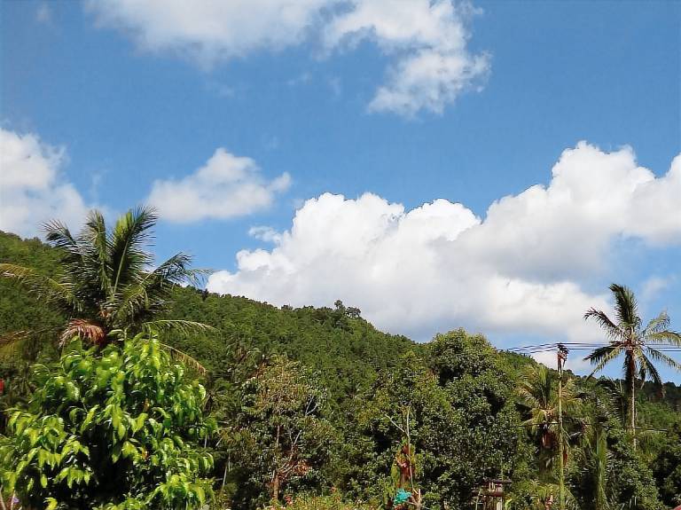 Gosela Homestay in Munduk