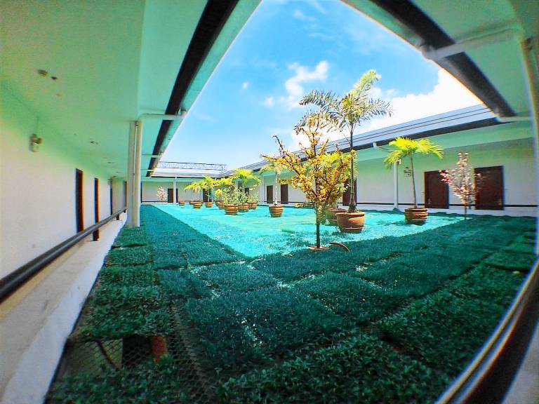 Cindy Kelly Hotel — photo 2