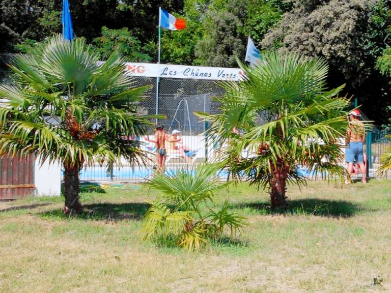 Nice mobile home with pool & terrace | Pets are welcome — photo 2