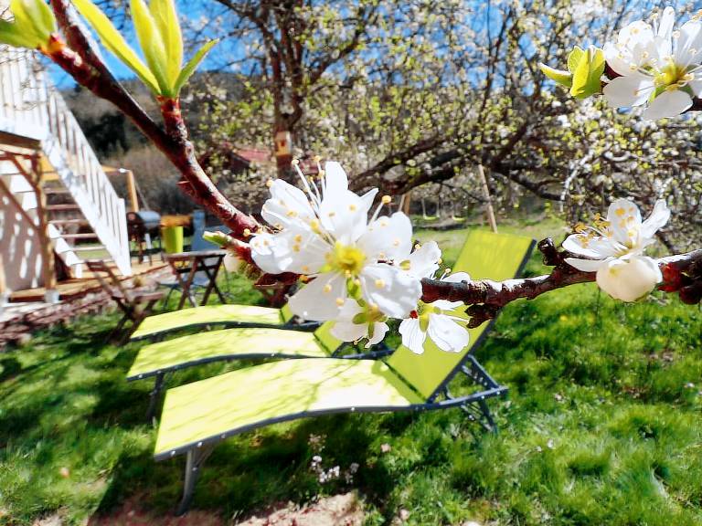 Maison de vacances Jussarupt