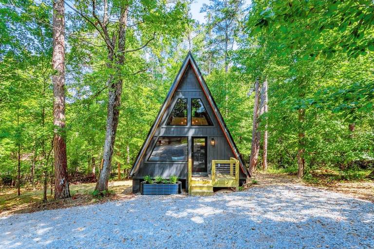 Cabin  Piney Woods