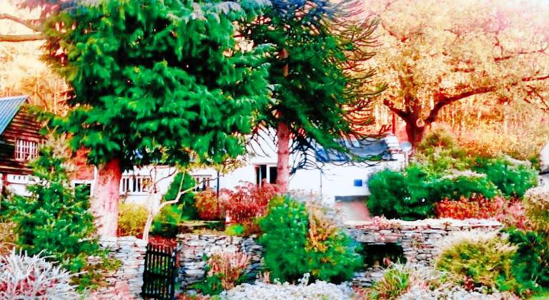 Vacation home with 1 room for 2 persons in Ambleside