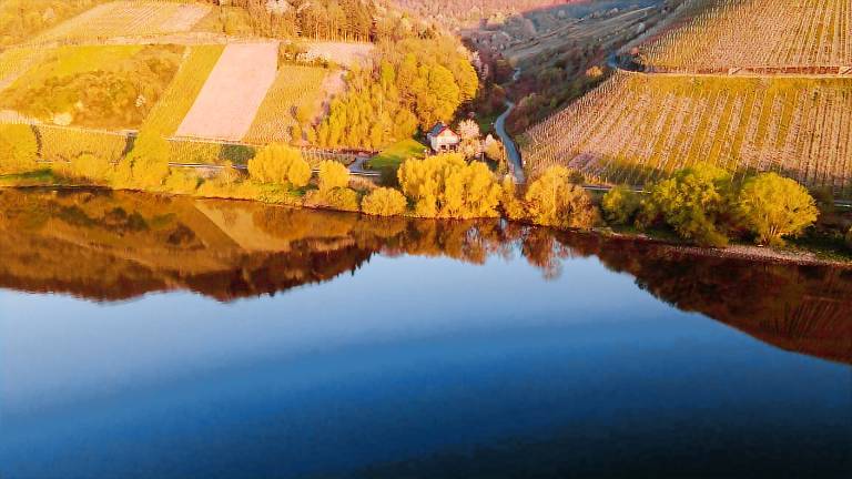 Ferienhaus  Osann-Monzel
