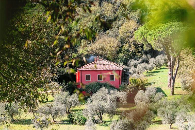 Ferienhaus in Manziana f&uuml;r max. 12 Personen, 