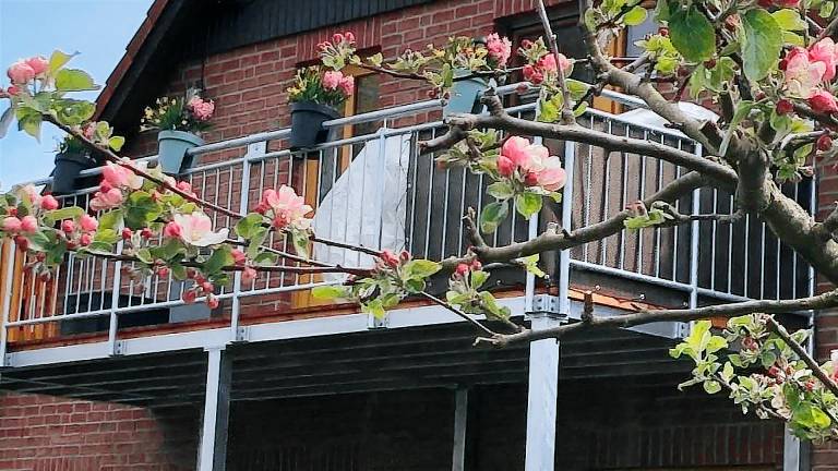 Ferienwohnung  Neuhaus (Oste)