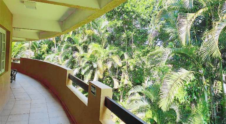 Serviced apartment with yard, pool & sauna — photo 5