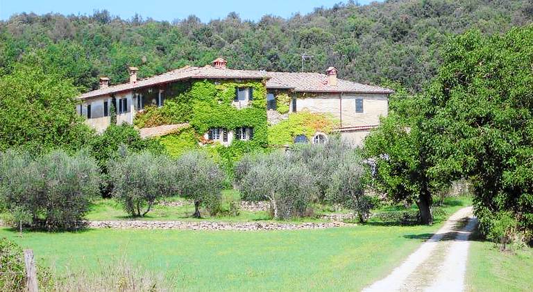 Lovely apartment with pool | Pet-friendly in Siena