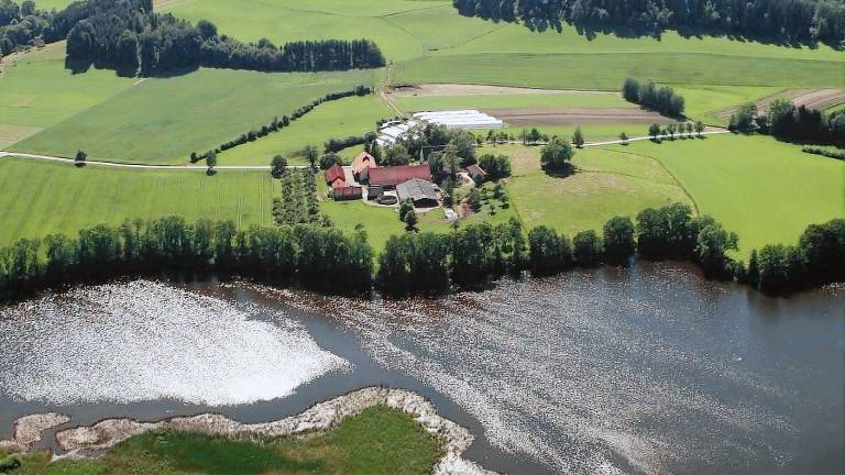 Ferienwohnung  Weingarten