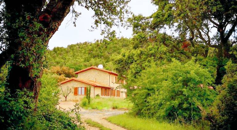 Holiday apartment with barbecue, yard & patio | Dogs allowed in Roccastrada