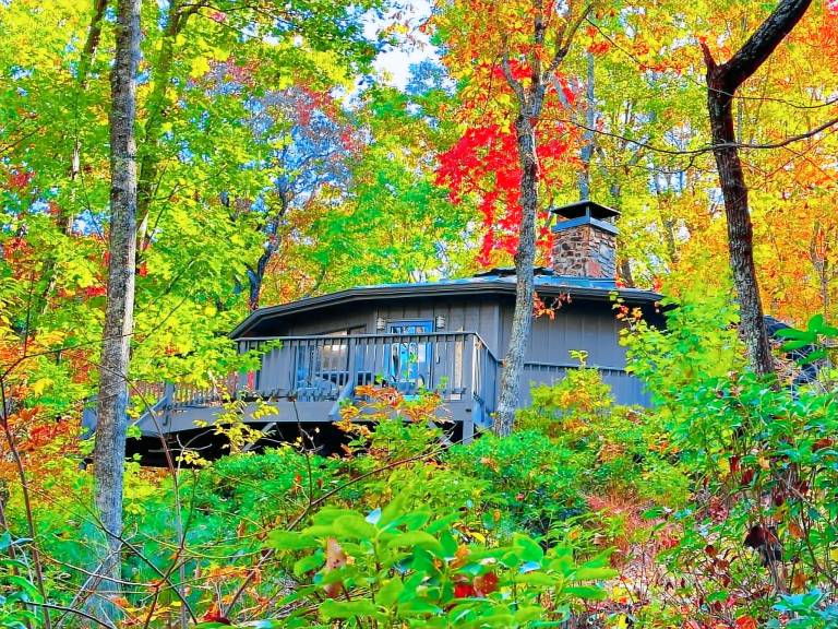 Cabin  North Georgia Mountains