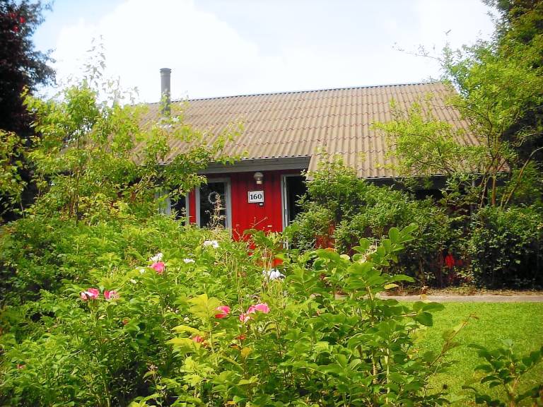 foto2
