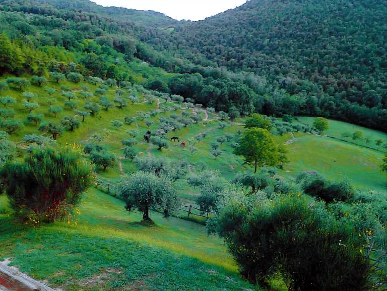 Agriturismo La Fonte di Perugia: Appartamento La Pineta - 3