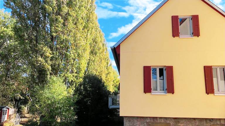 Ferienhaus Ochsenfurt