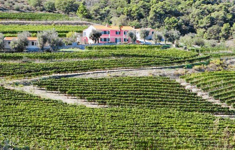 Agriturismo Valcrosa: Appartamento Ciliegio con vista mare - 1