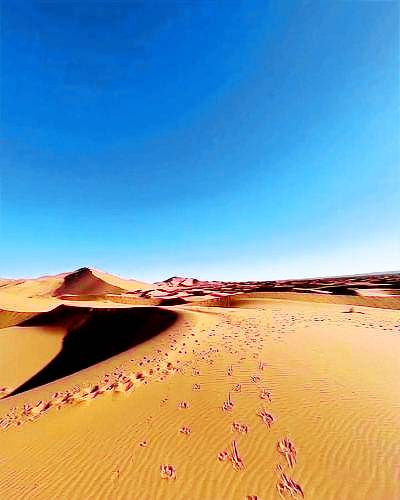 Complejo vacacional  Merzouga