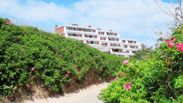 Ferienwohnung  Wyk auf Föhr