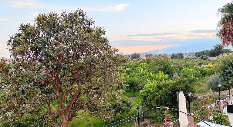 La Pomelia B&b Sofia — photo 4