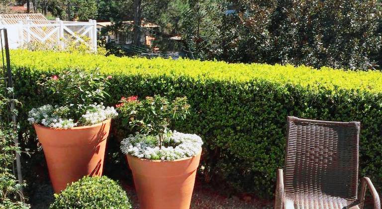 Passagem da Neblina - Bed & Breakfast — photo 4