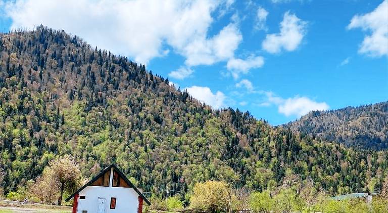 Chalet with 2 rooms for 5 persons — photo 5