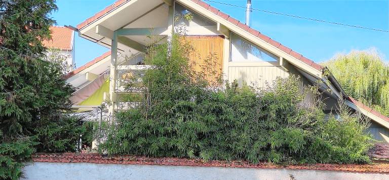 Nice dedicated room with fast internet, barbeque & yard | Garden view | Pets allowed — photo 3