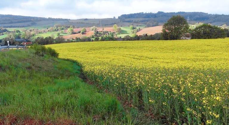 75 m&sup2; Ferienwohnung