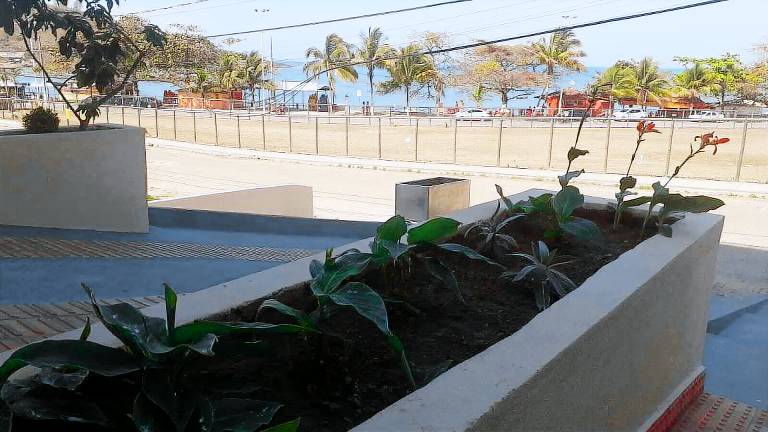 Apartamento  Setiba