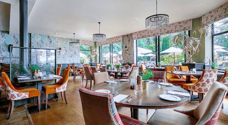 Forest Park Country Hotel & Inn, Brockenhurst, New Forest, Hampshire - The Coaching Inn Group — photo 3