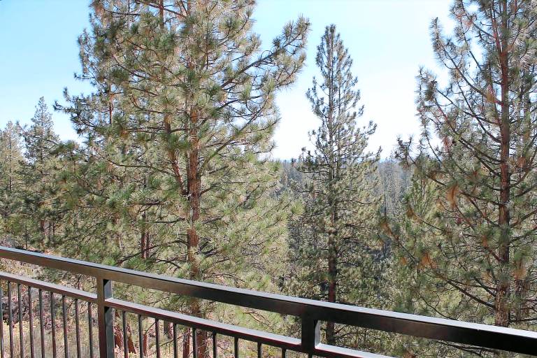 Child-friendly condo with grill, private pool & hot tub | Pet-friendly — photo 4