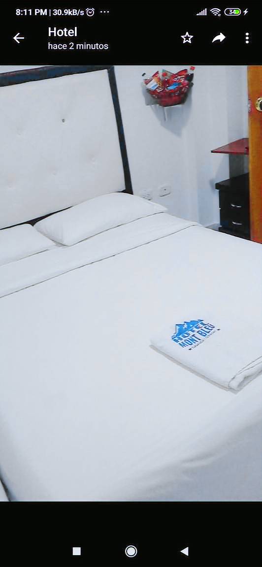 Hotel Mont Bleu — photo 5