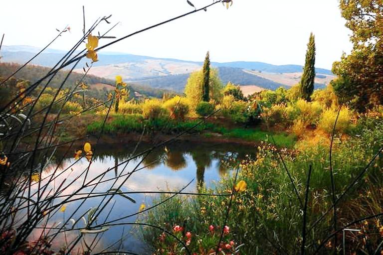 Ferienhaus Casole d’Elsa