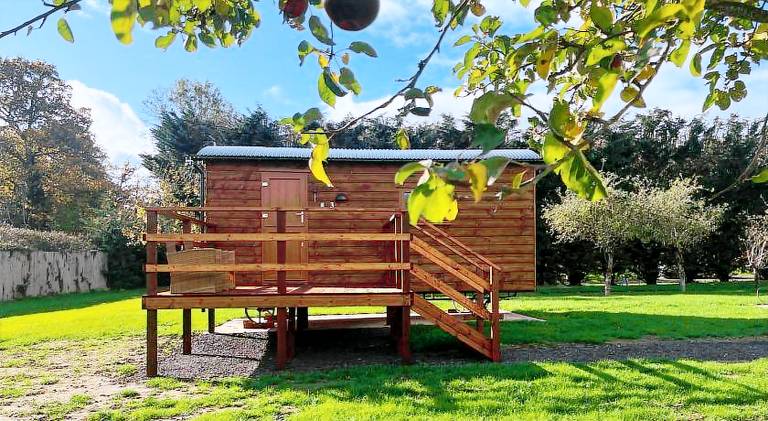 The Apple Rest — photo 4