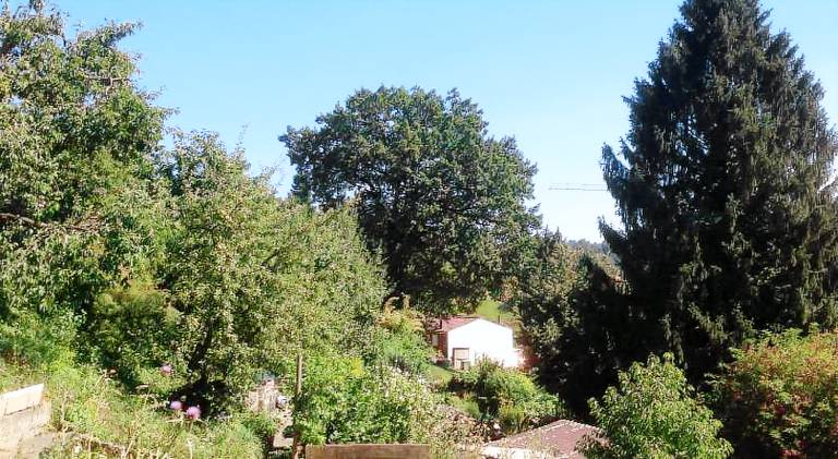 Private room for long term rent 1000-1200CHF per month — photo 5