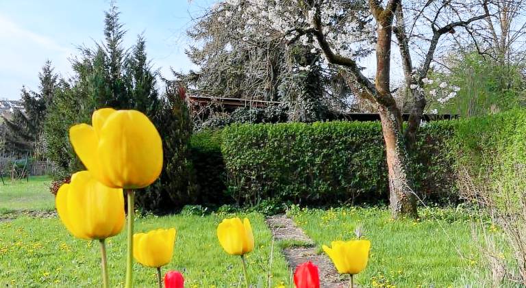 Ferienwohnung Weikersheim