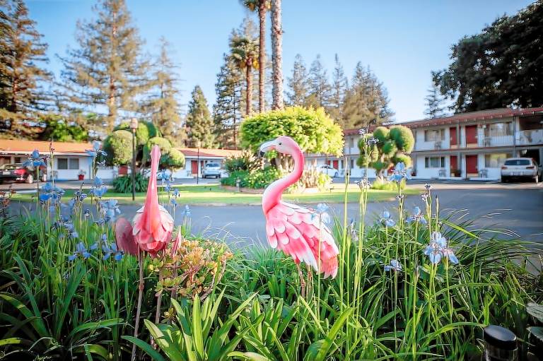 The Palo Alto Inn