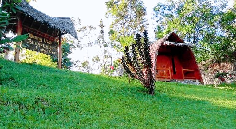 foto30